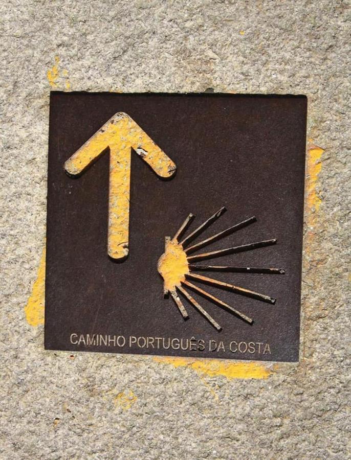 Suite Da Joaninha Caminha Luaran gambar